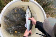 IMG-20181029-WA0016